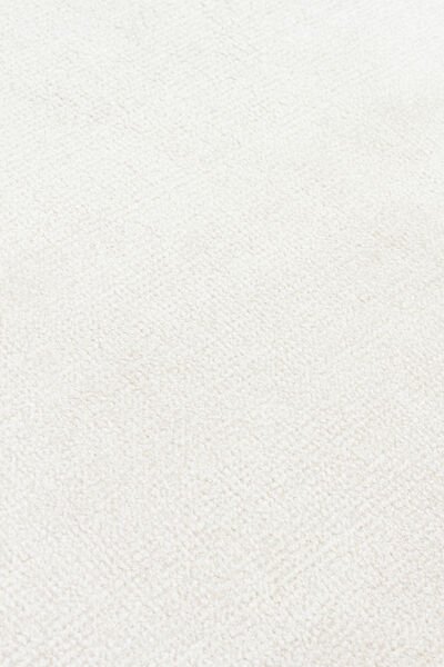 OXFORD CREAM