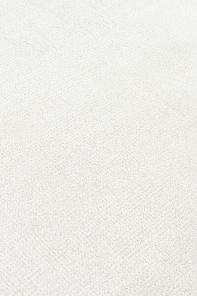 OXFORD CREAM