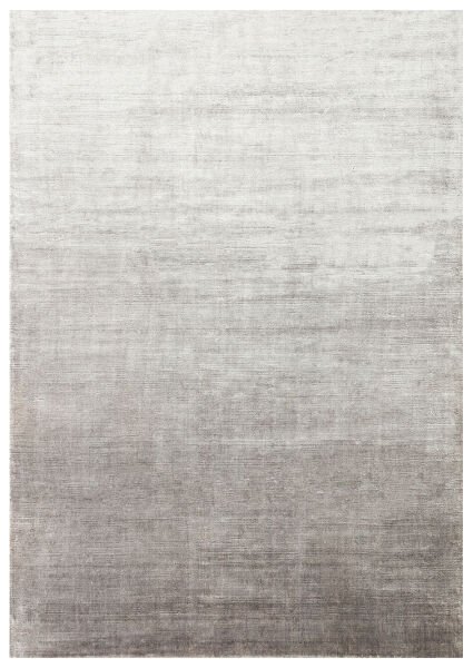 RAYON SILVER