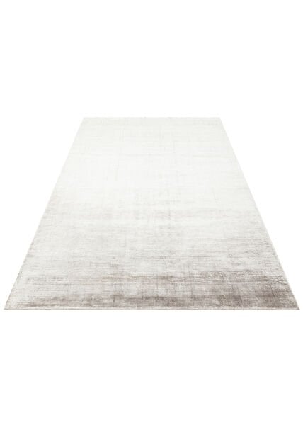 RAYON SILVER